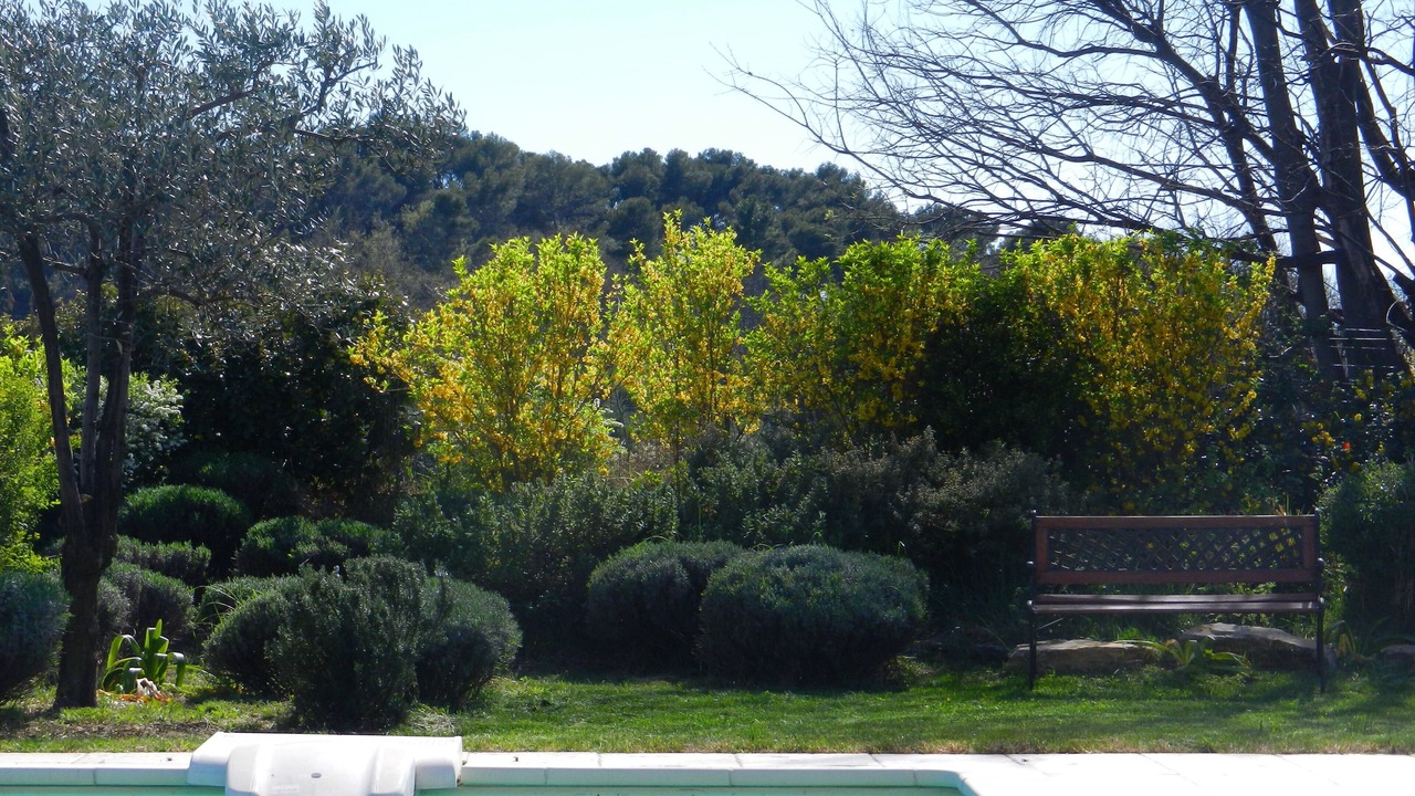 Photo of Outdoor in Puymeras