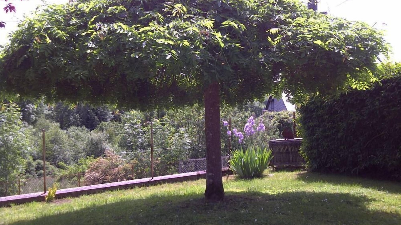 Photo of Outdoor in Planchez