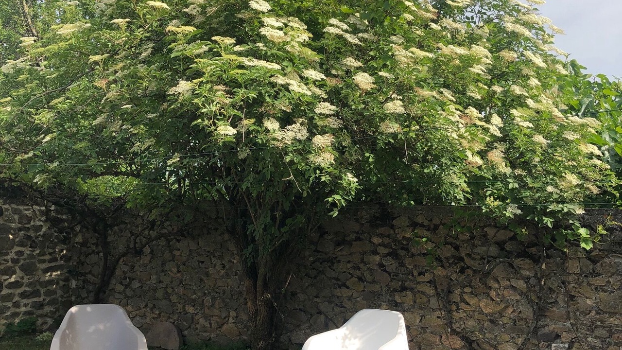 Photo of Outdoor in Secheras