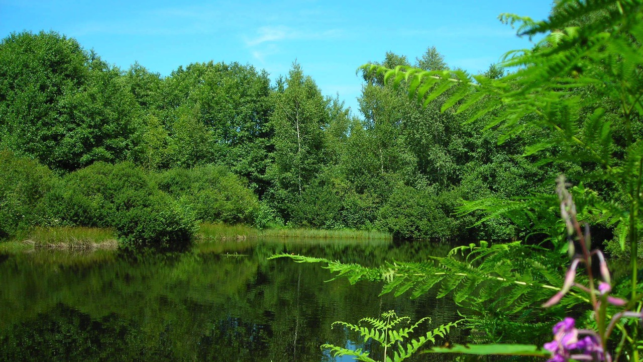 Photo of Outdoor in Corravillers