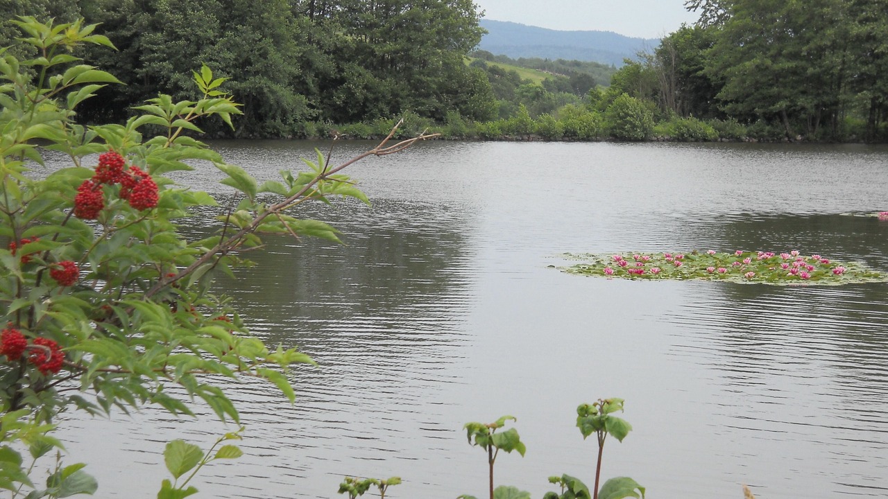 Photo of Outdoor in Corravillers