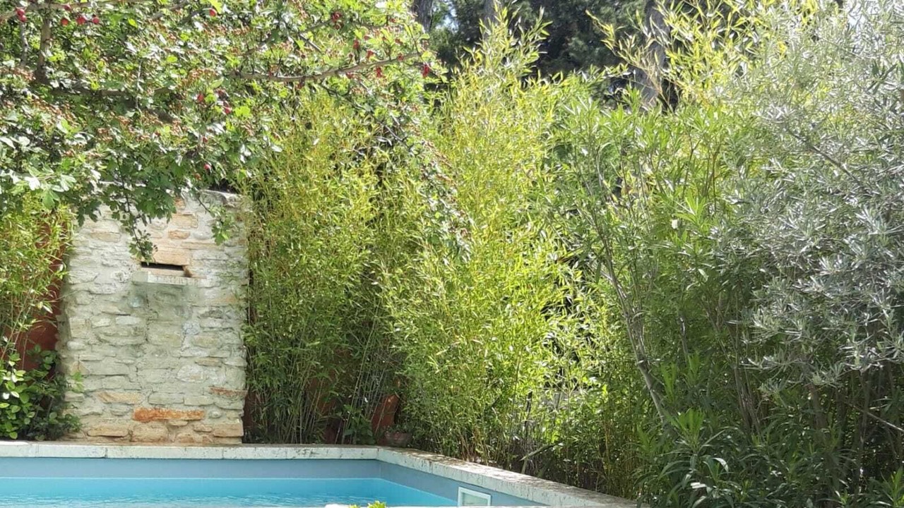 Photo of Outdoor in Visan