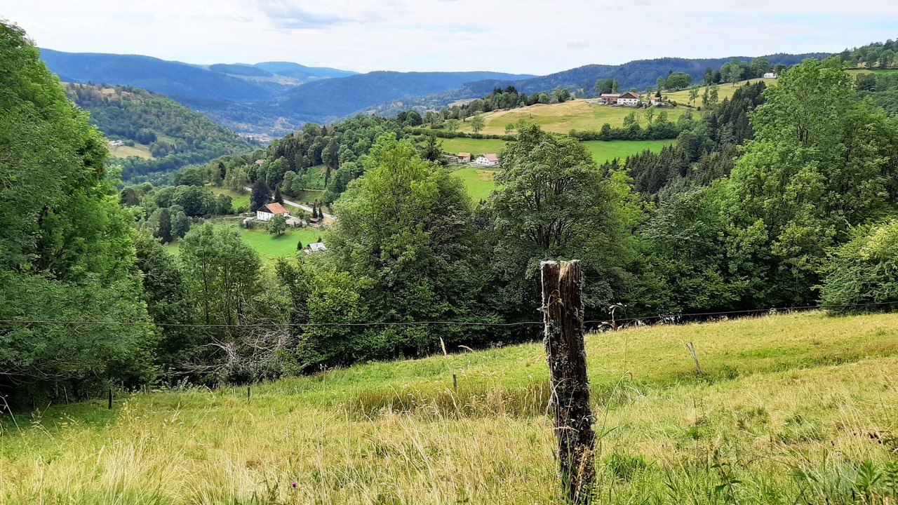 Photo of Outdoor in Gerardmer