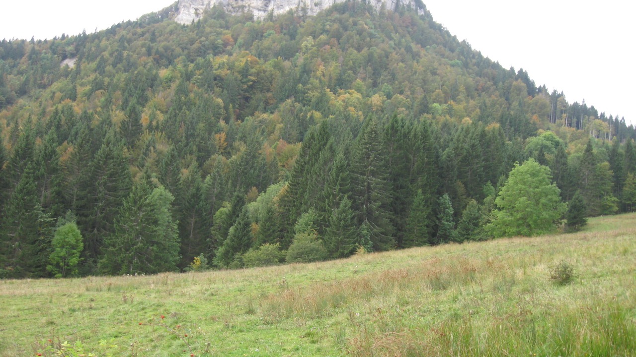Photo of Outdoor in Premanon
