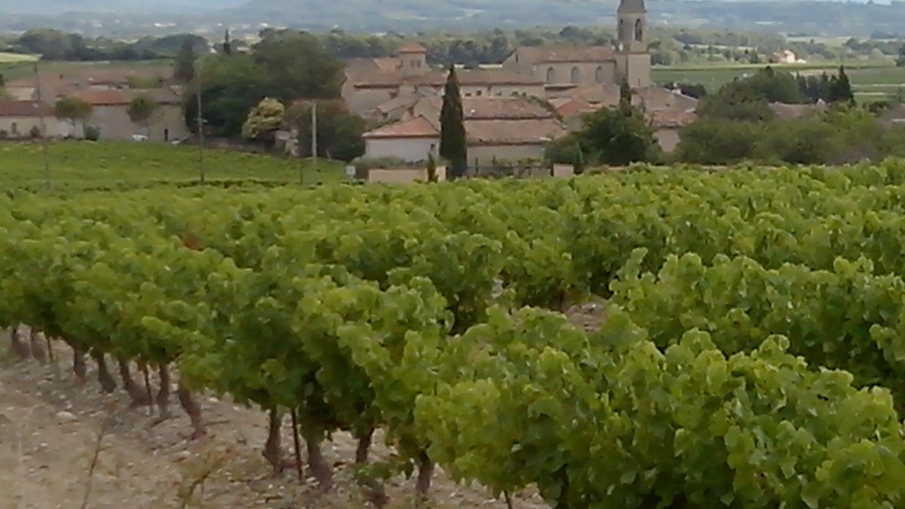 Photo of Outdoor in Saint-Pierre-de-Vassols