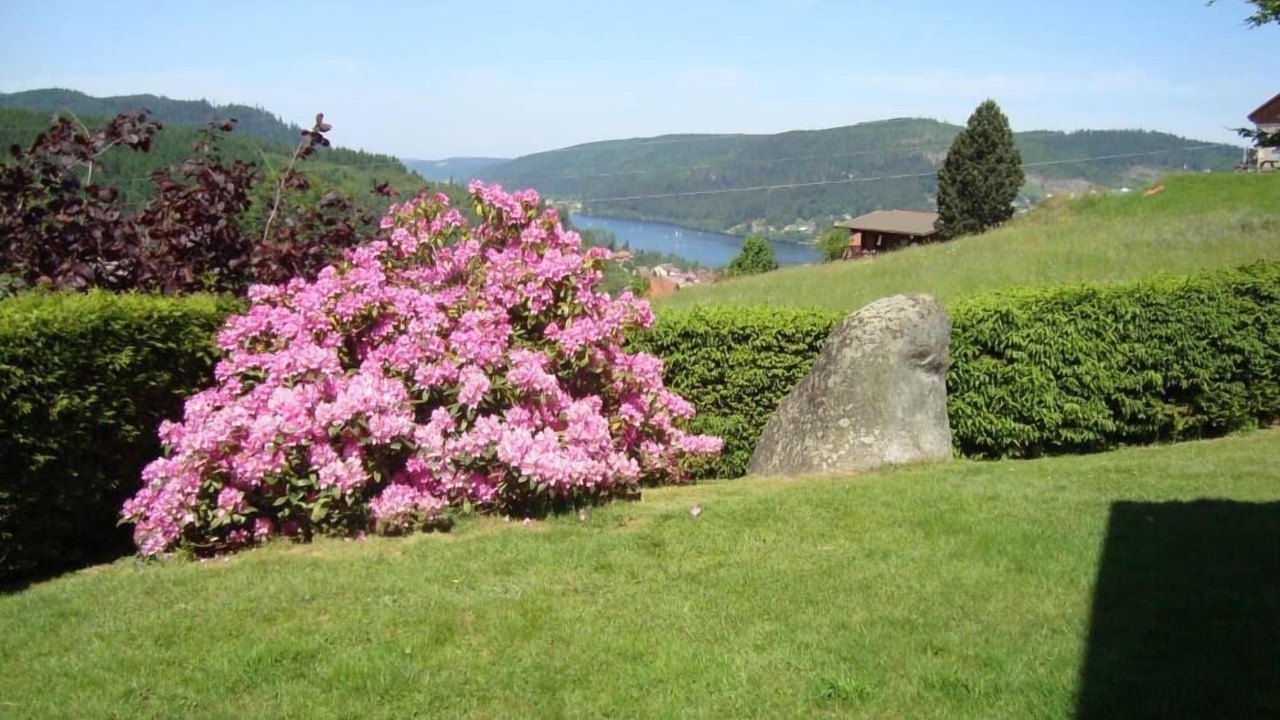 Photo of Outdoor in Gerardmer