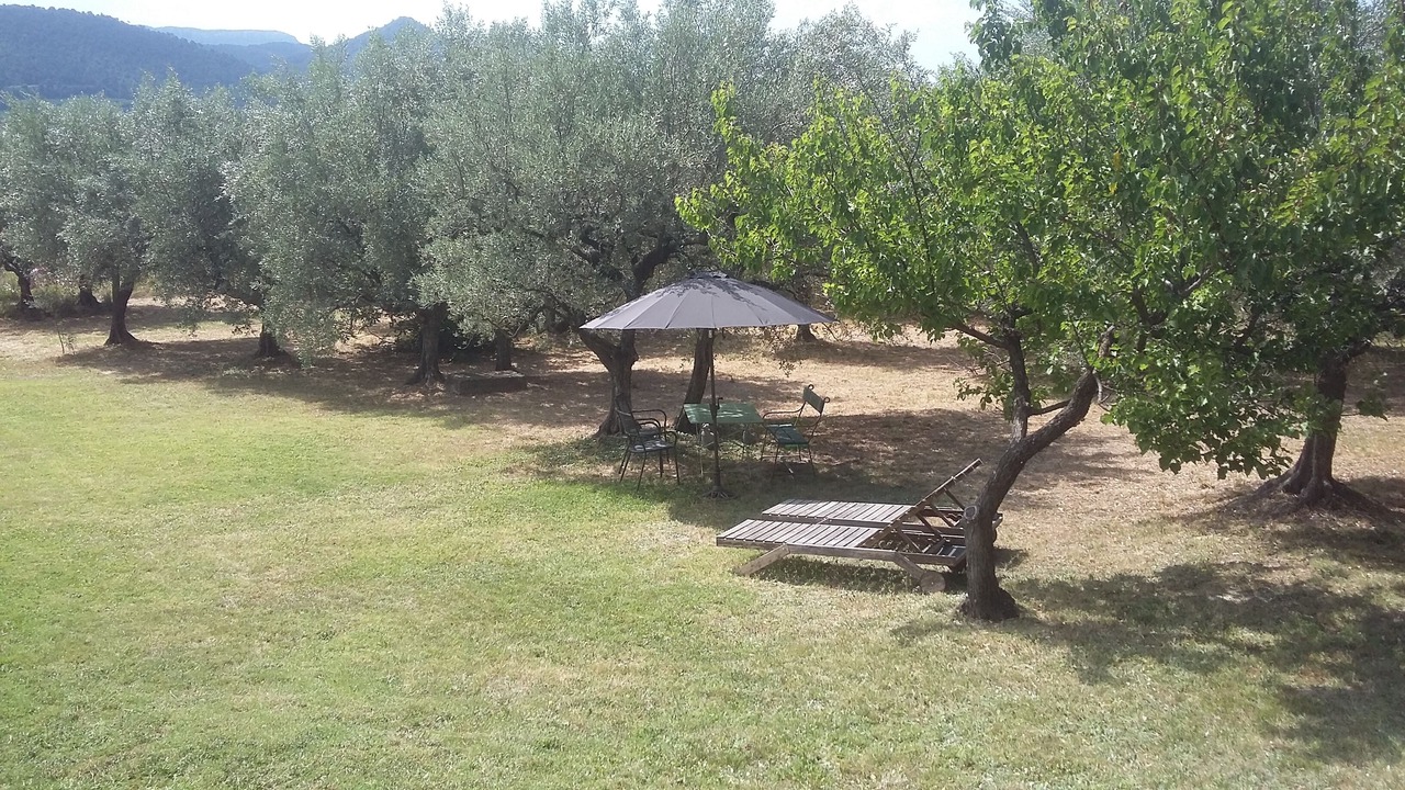 Photo of Outdoor in Roaix