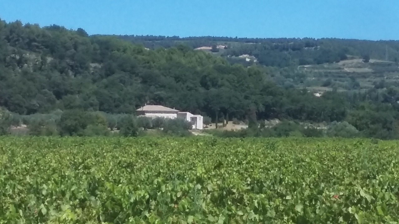 Photo of Others in Roaix