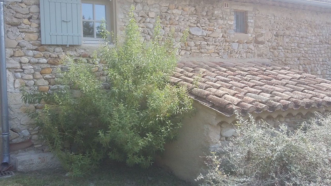 Photo of Outdoor in Roaix