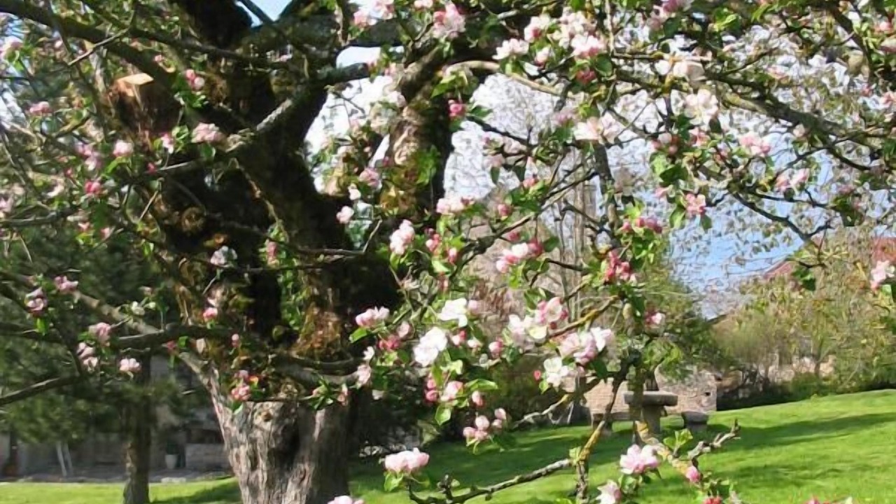 Photo of Outdoor in Amondans