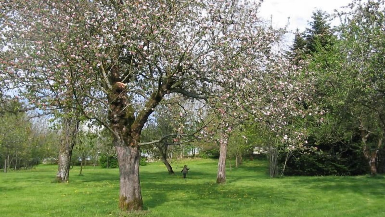 Photo of Outdoor in Amondans