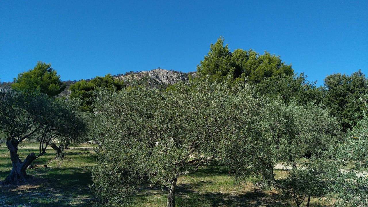 Photo of Outdoor in Saint-Hippolyte-le-Graveyron