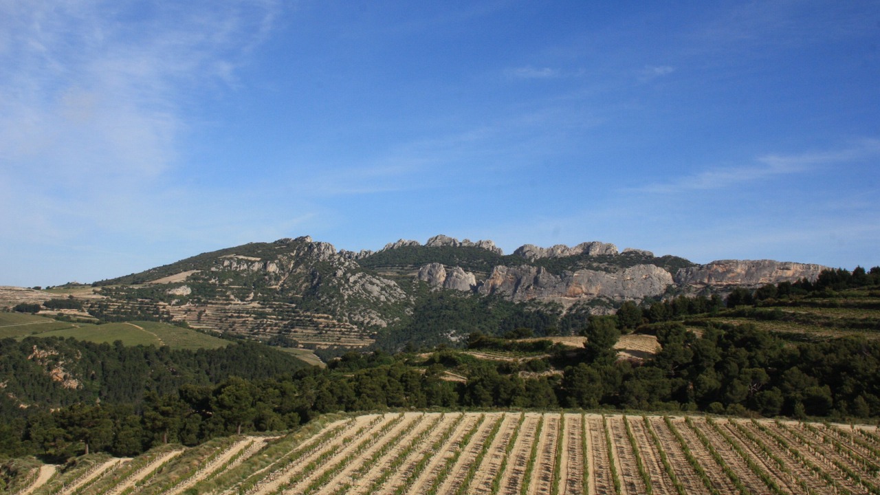 Photo of Outdoor in Saint-Hippolyte-le-Graveyron