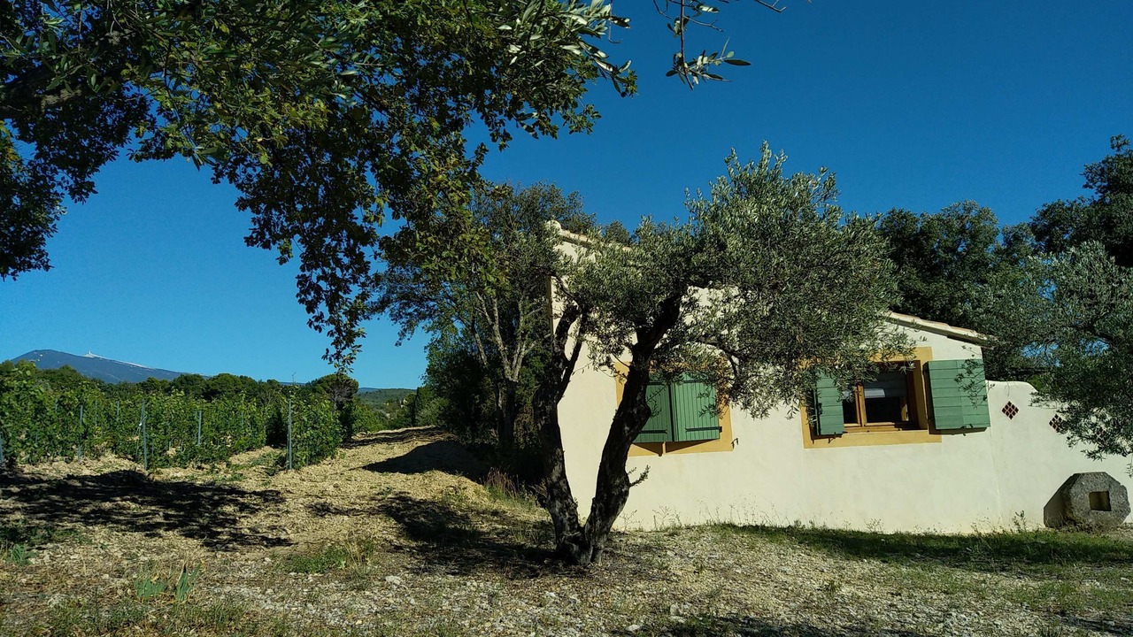 Photo of Outdoor in Saint-Hippolyte-le-Graveyron