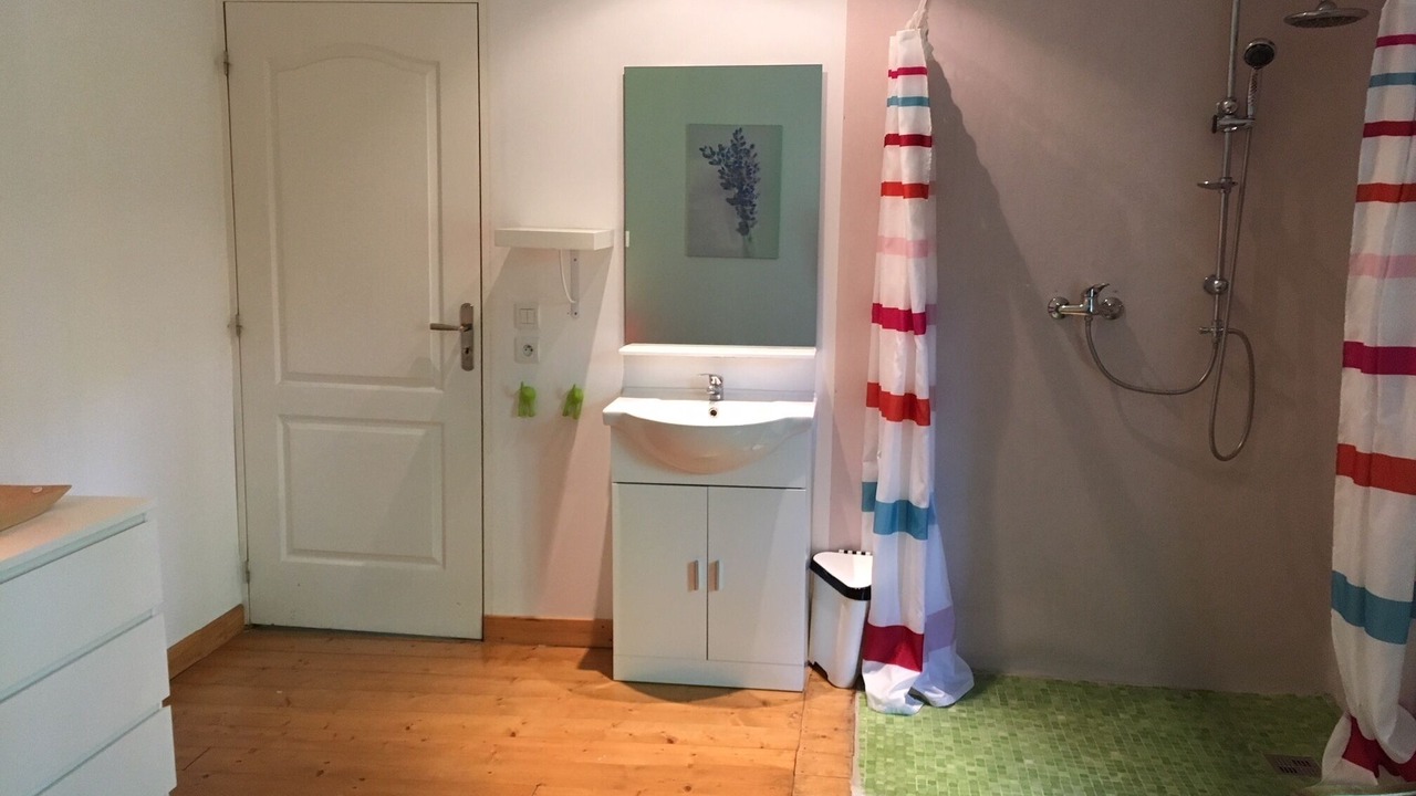 Photo of Bathroom in Vizille