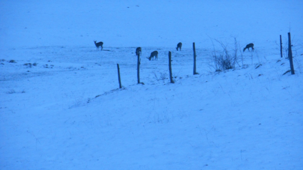 Photo of Others in Foncine-le-Haut