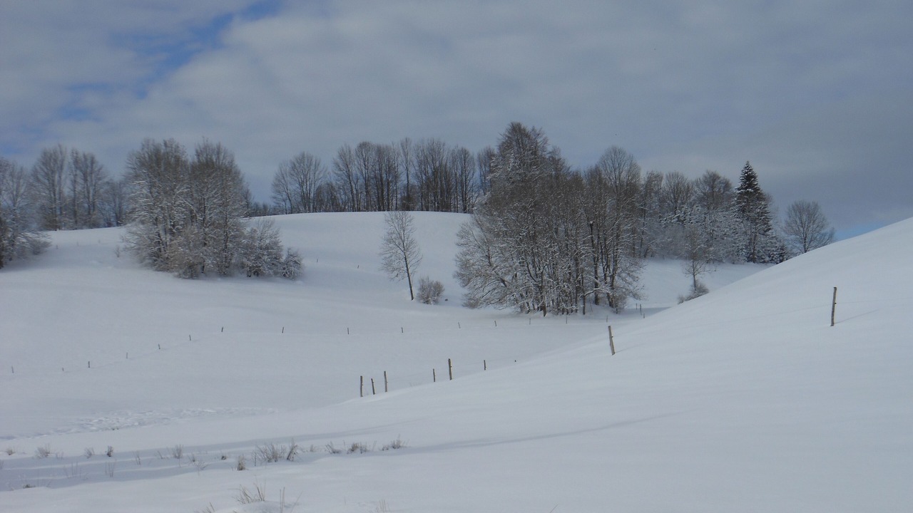 Photo of Others in Foncine-le-Haut