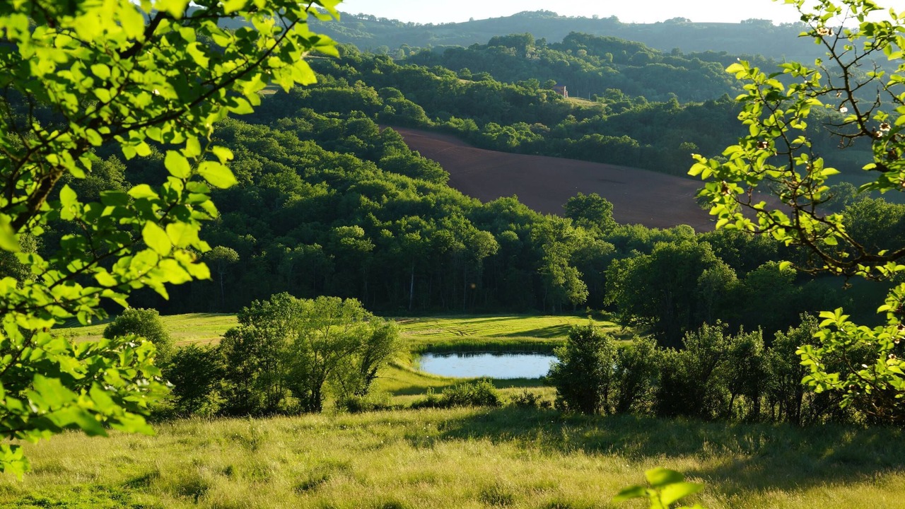 Photo of Outdoor in Escandolieres