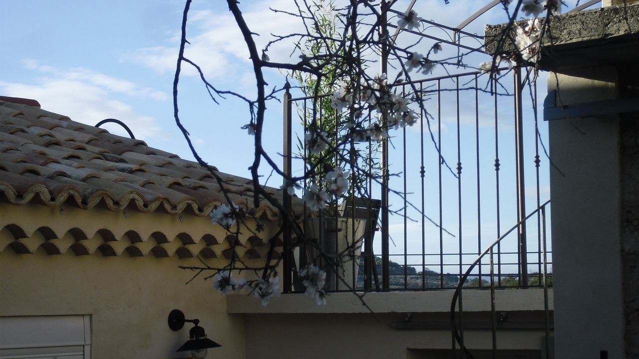 Photo of Outdoor in Methamis
