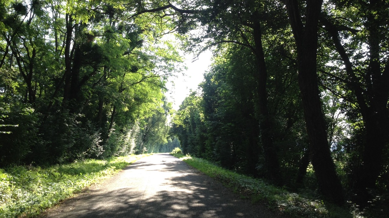 Photo of Outdoor in Chatelay