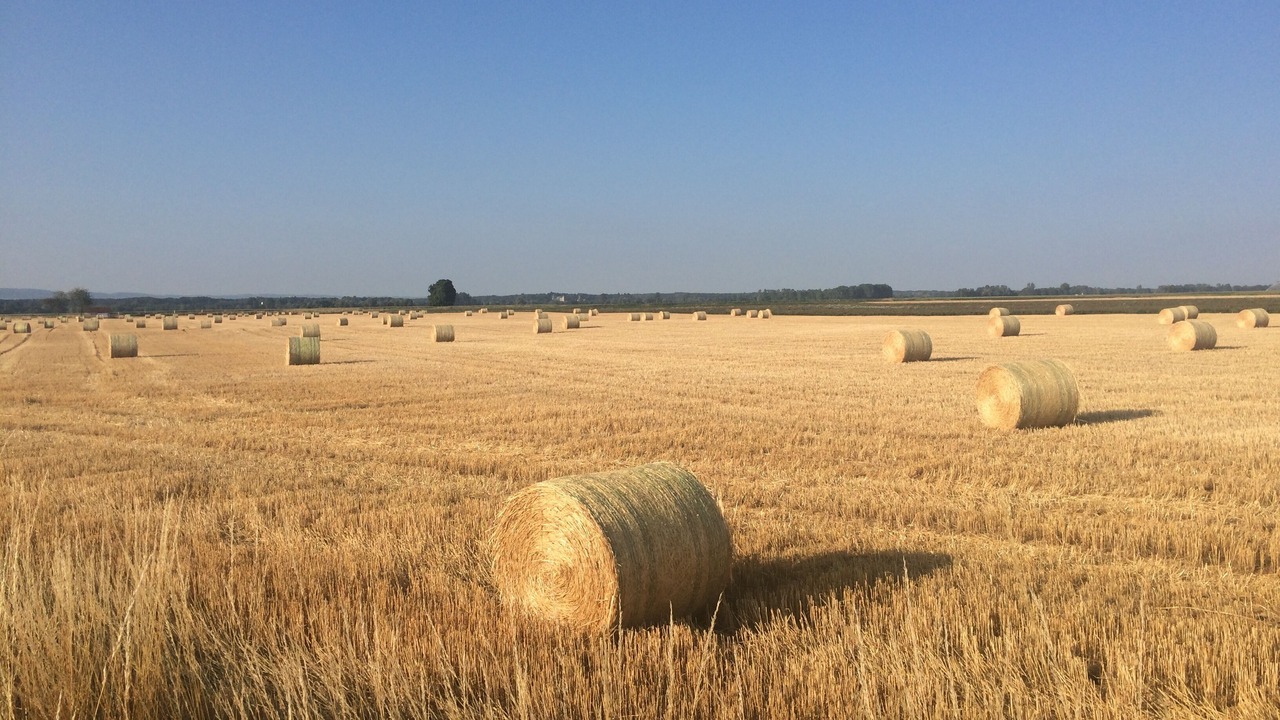 Photo of Others in Chatelay
