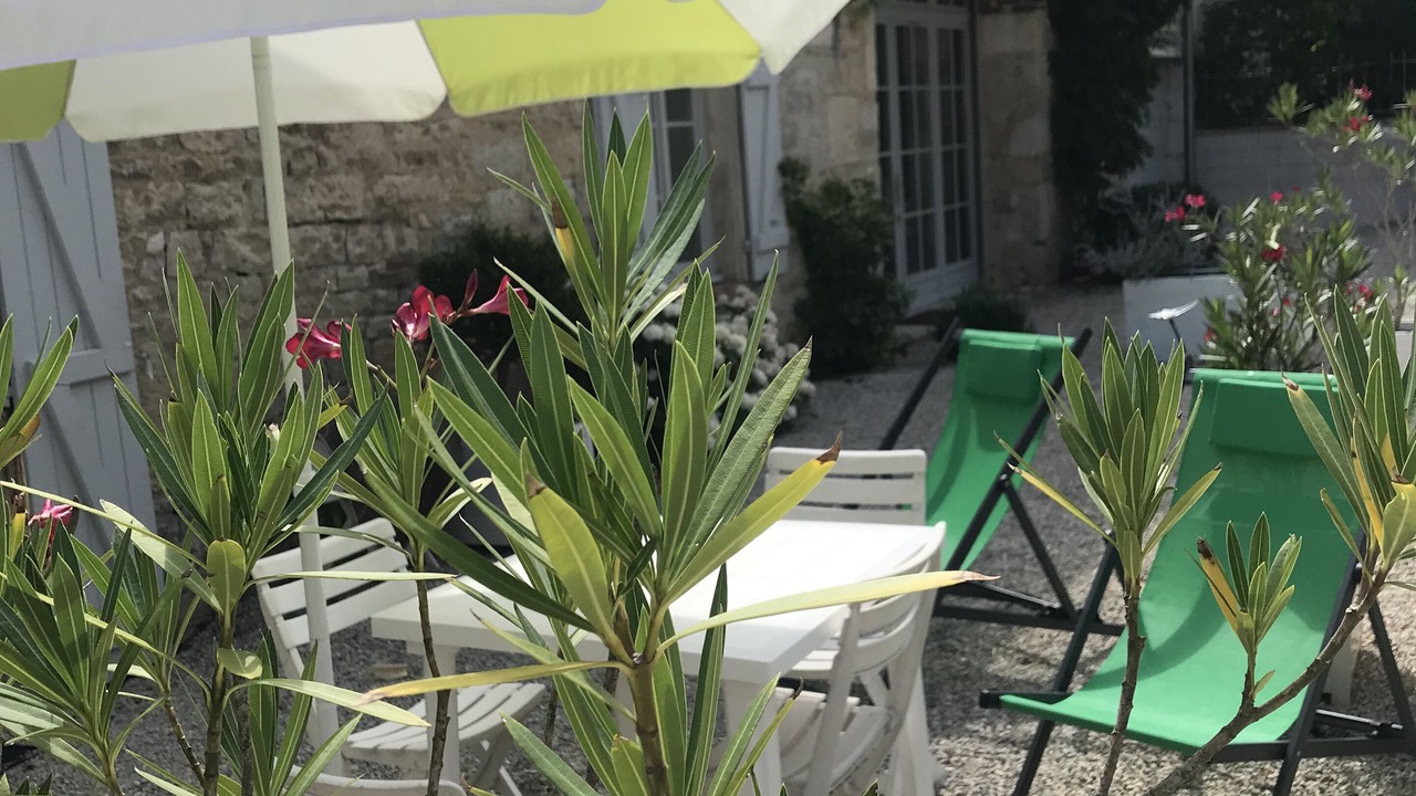 Photo of Outdoor in Chatelay