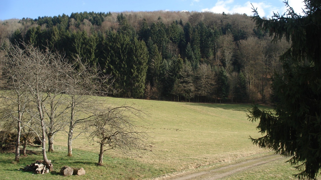 Photo of Others in Le Val-d'Ajol