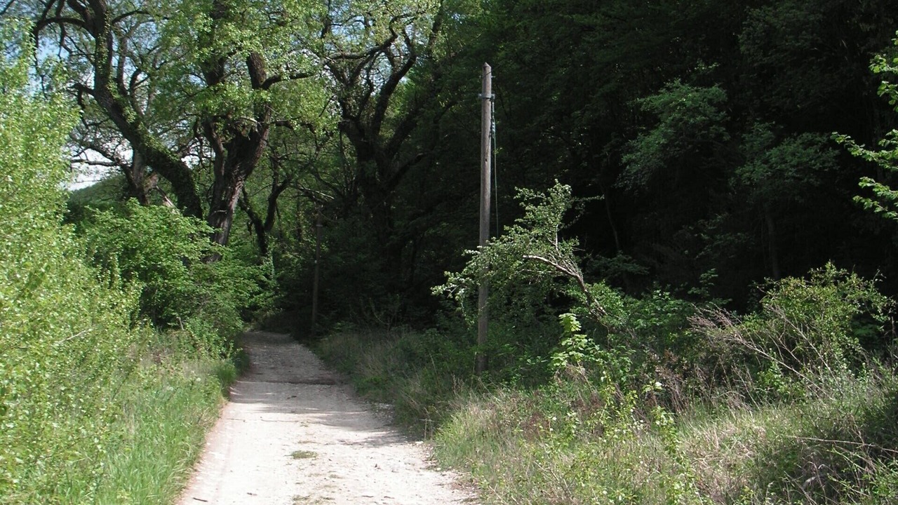 Photo of Outdoor in La Touche
