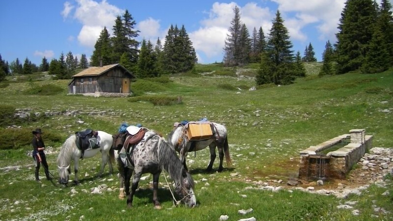 Photo of Others in La Touche