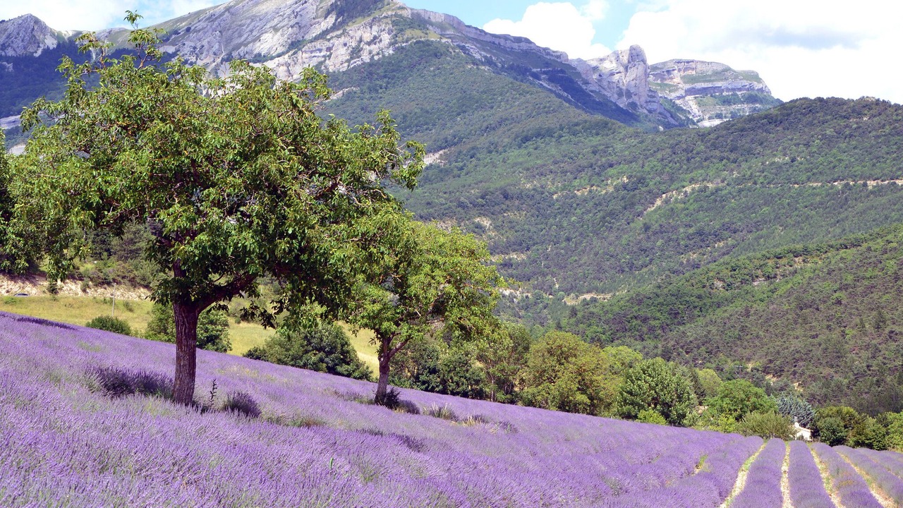 Photo of Outdoor in Sauzet