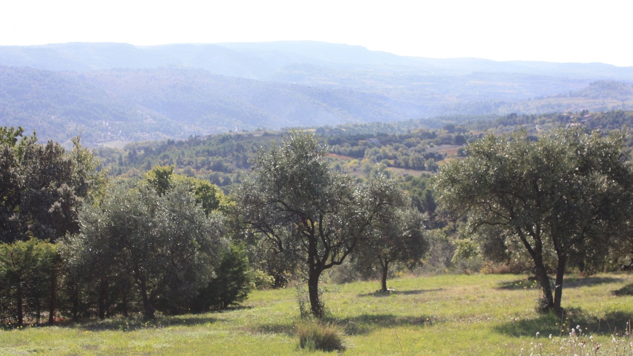 Photo of Others in Blauvac