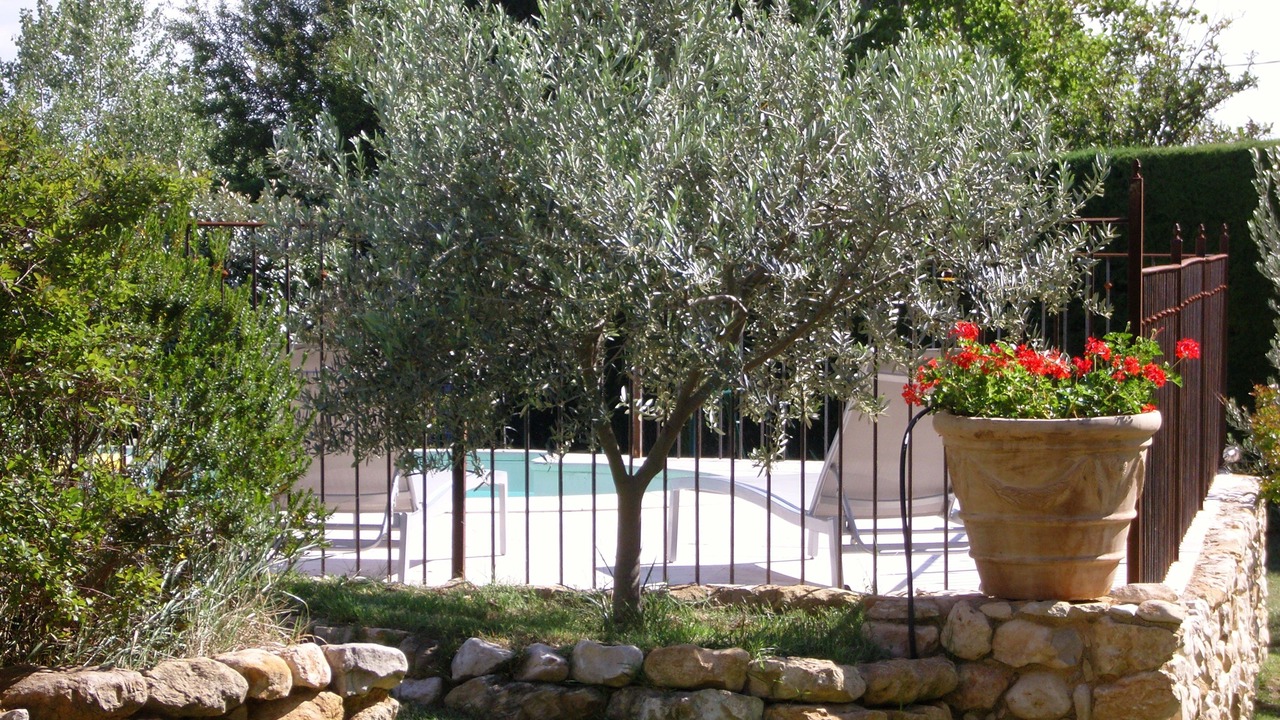 Photo of Outdoor in Bedoin