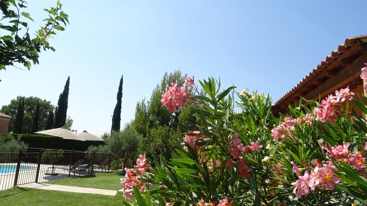 Photo of Outdoor in Bedoin