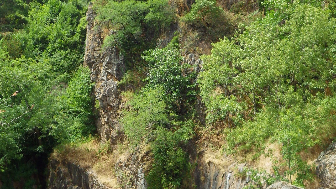 Photo of Outdoor in Lavilledieu