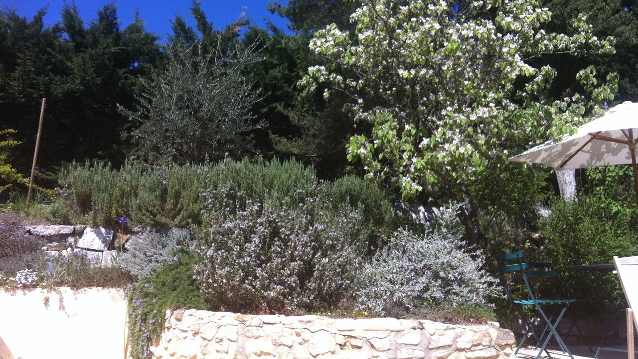 Photo of Outdoor in Montjoux