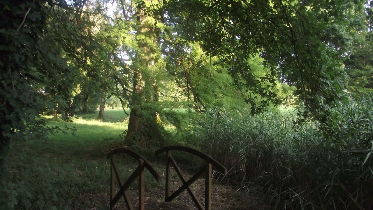 Photo of Outdoor in Aiglepierre
