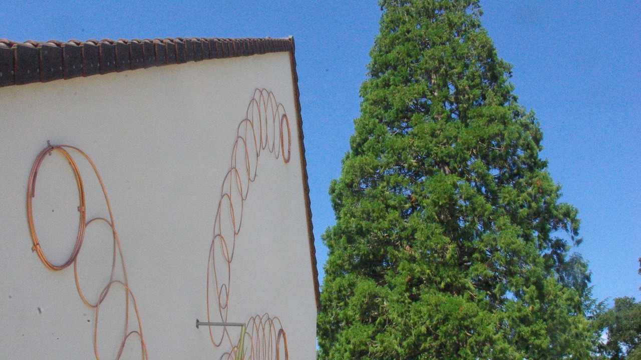Photo of Outdoor in Clairefontaine-en-Yvelines