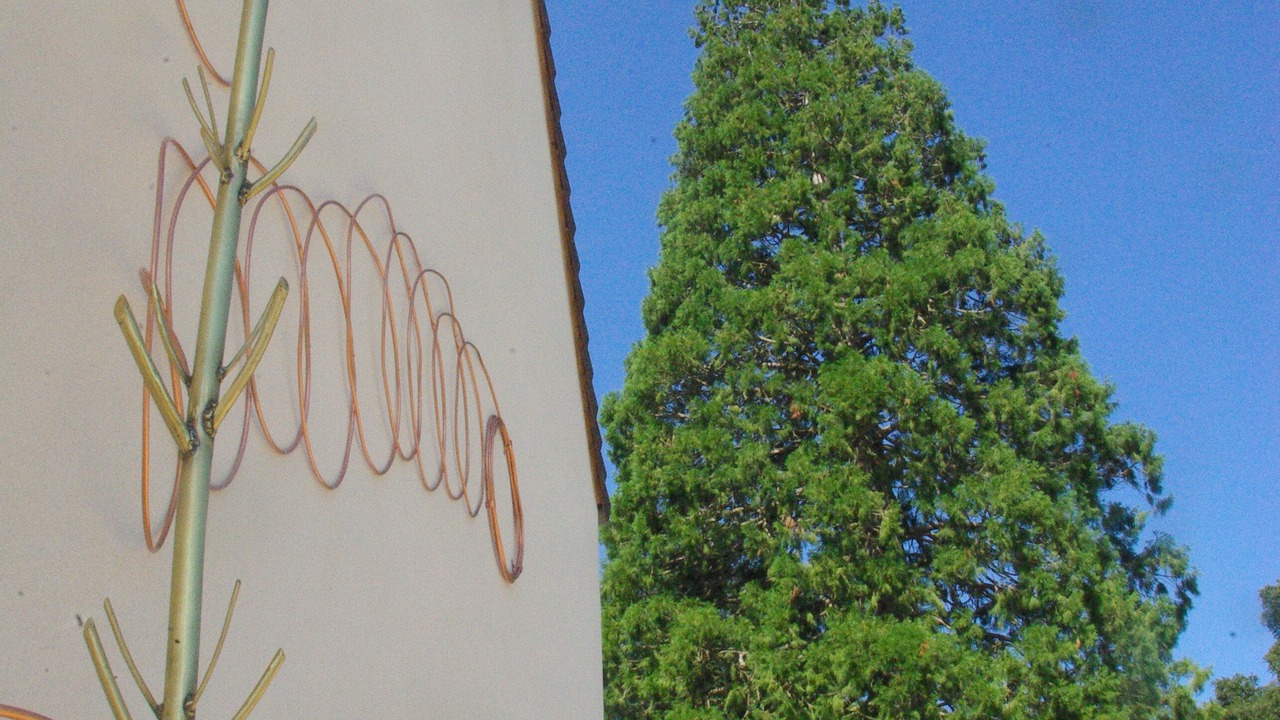 Photo of Outdoor in Clairefontaine-en-Yvelines