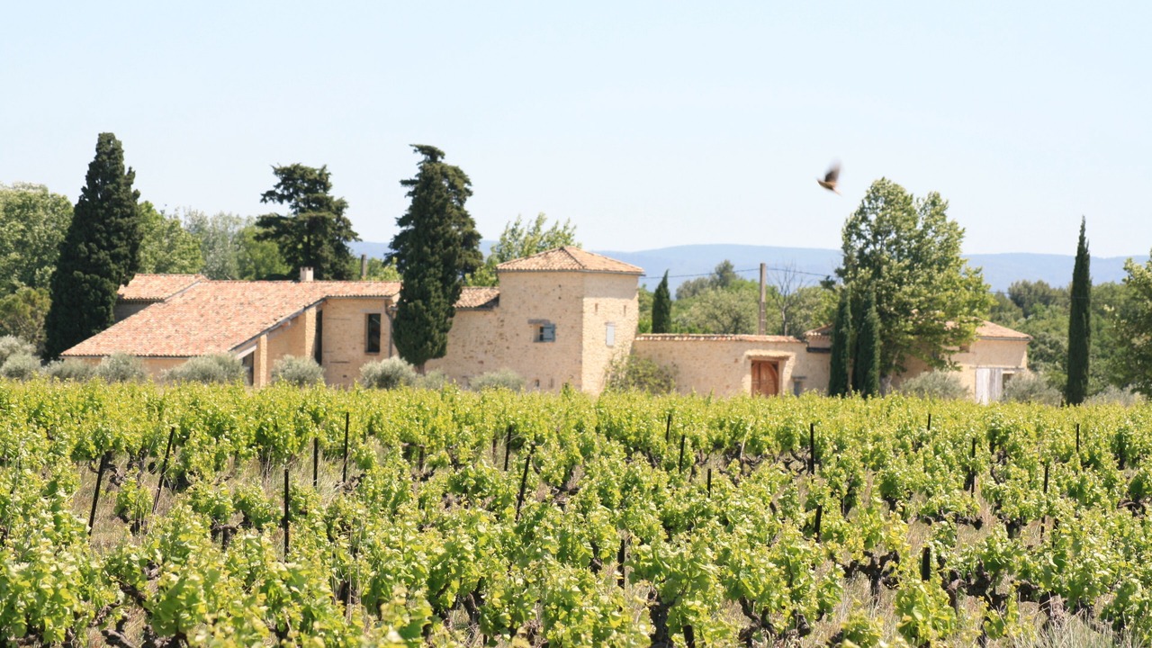 Photo of Outdoor in Caromb