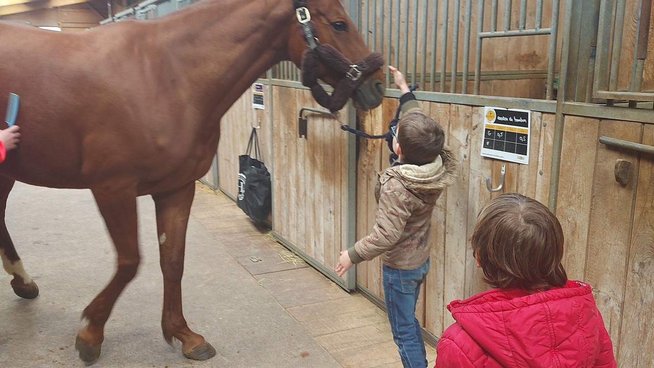 Photo of Others in Montigny-les-Cherlieu