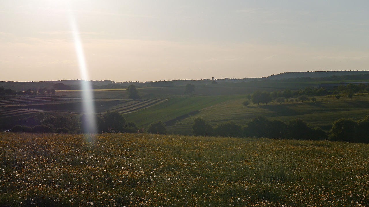 Photo of Outdoor in Melincourt