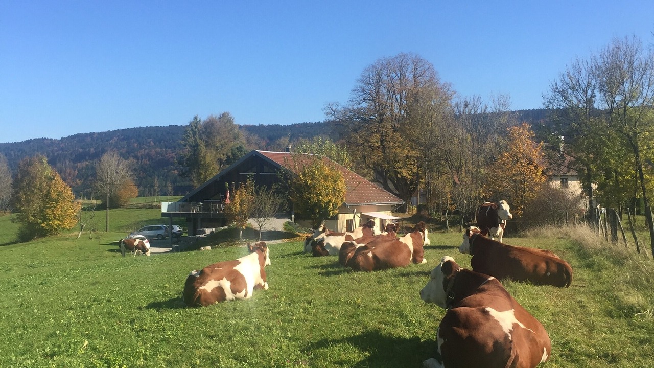 Photo of Outdoor in Arcon