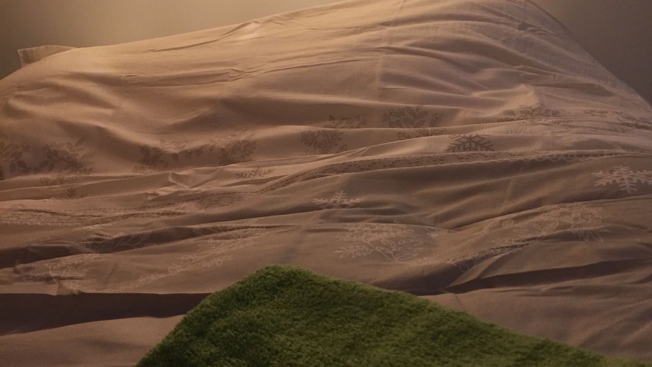 Photo of Bedroom in Arcon