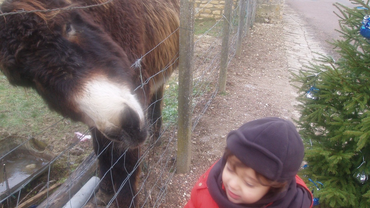 Photo of Outdoor in Cessy-les-Bois