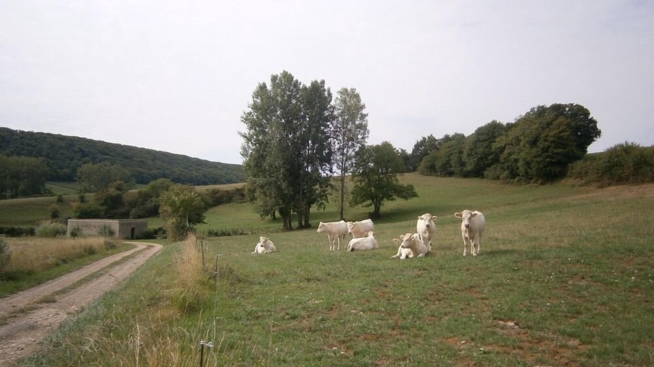 Photo of Outdoor in Sennecey-le-Grand