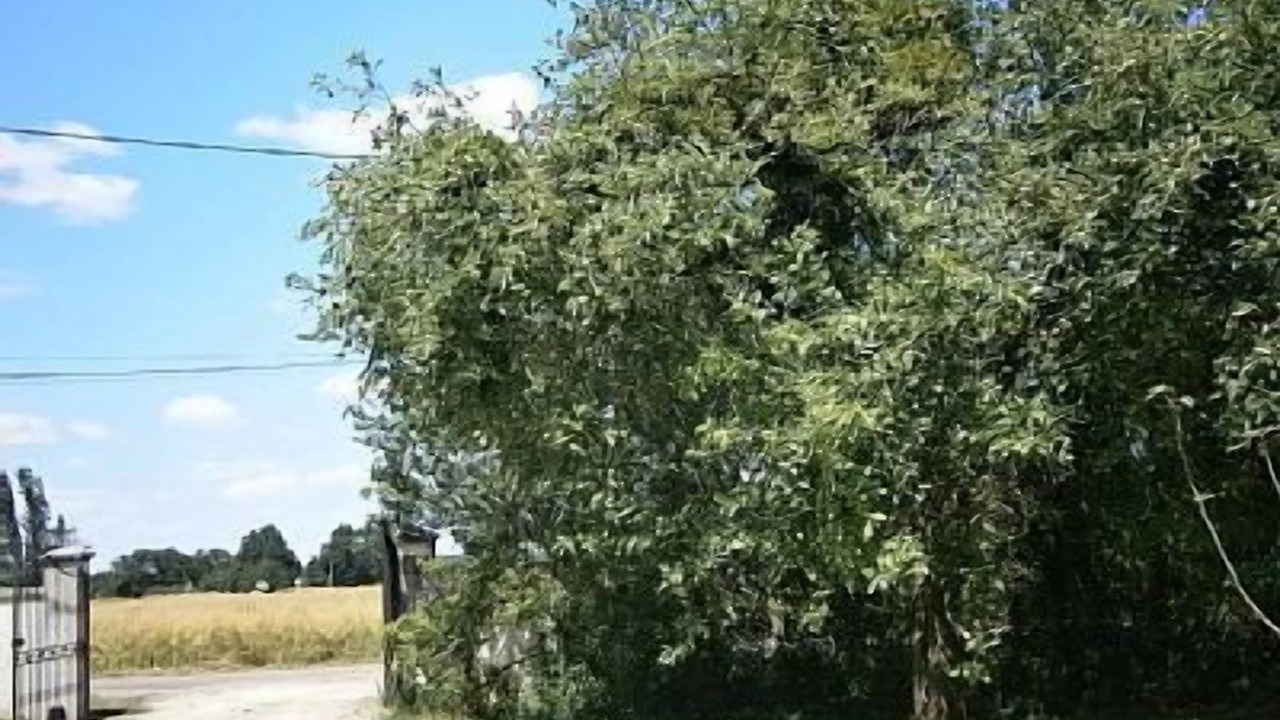 Photo of Outdoor in Sennecey-le-Grand