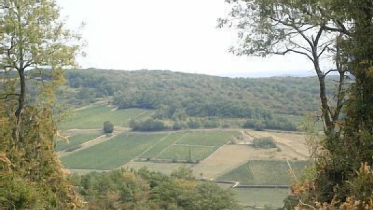 Photo of Others in Sennecey-le-Grand