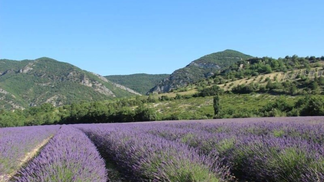 Photo of Outdoor in Roche-Saint-Secret