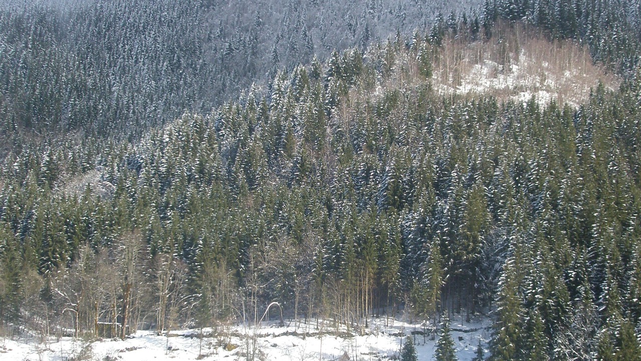 Photo of Outdoor in La Ferriere
