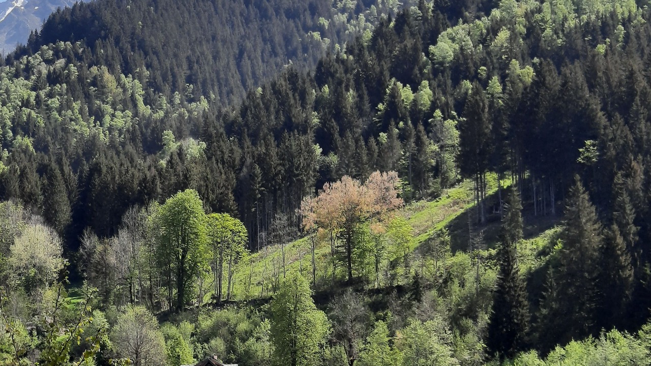 Photo of Outdoor in La Ferriere
